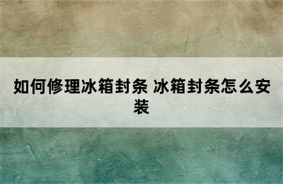 如何修理冰箱封条 冰箱封条怎么安装